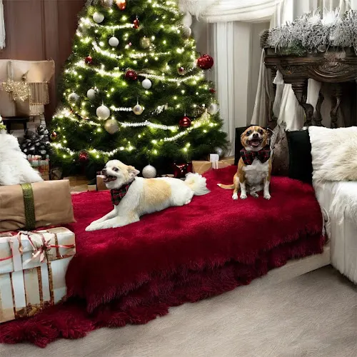 Marti's Purty Pets, LLC - Image 1
