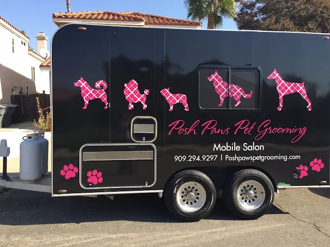 Posh Paws Pet Grooming - Mobile Salon - Image 1