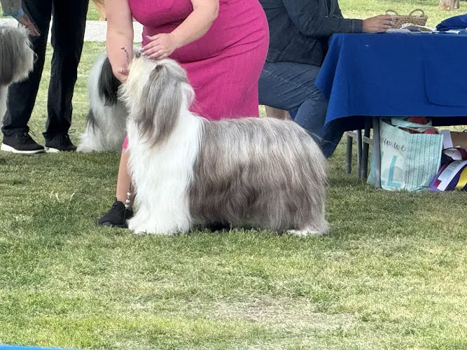 So Fetch Mobile Pet Grooming - Image 1