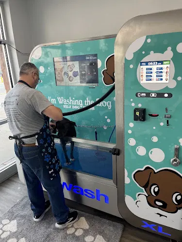 I'm Washing the Dog - Image 1