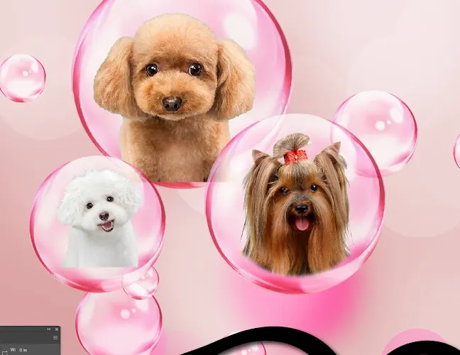 Debbie's Mobile Dog Grooming - Image 1