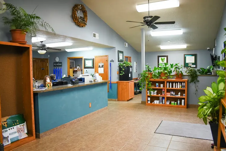South County Animal Hospital, A Thrive Pet Healthcare Partner - Image 1