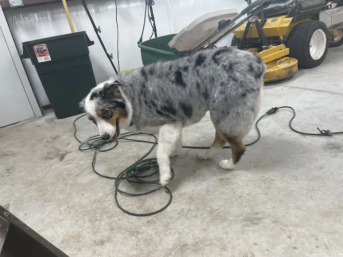 Pups N Sudz Mobile Dog Groomer in Tulsa, OK