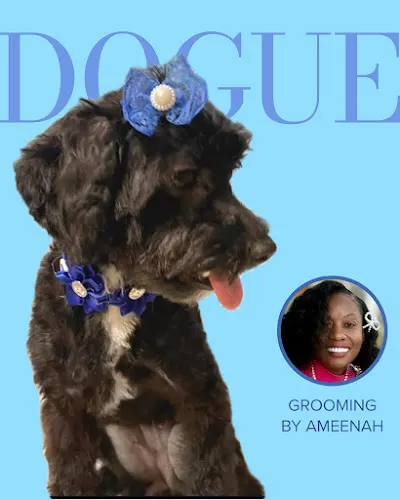 Doggy Styles Grooming Parlor - Image 1