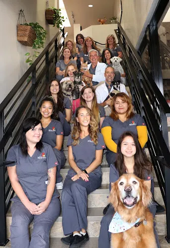 Cabrillo Pet Hospital - Image 1