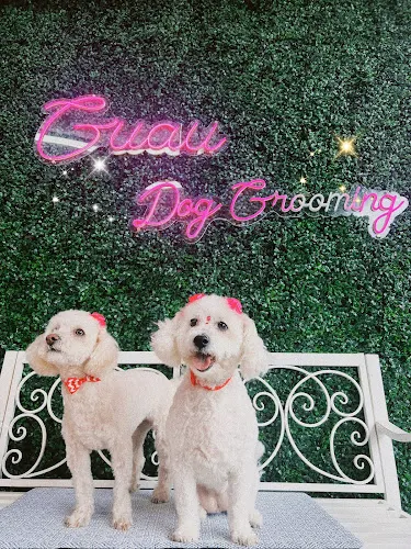 Guau dog grooming in Chicago, IL