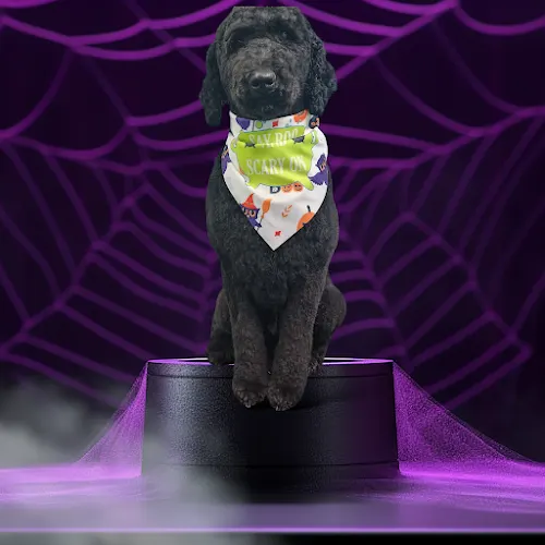 Silvija's Fancy Pooches - Image 1
