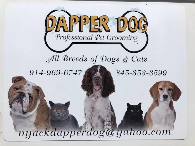 Dapper Dog & Cat Grooming - Image 1