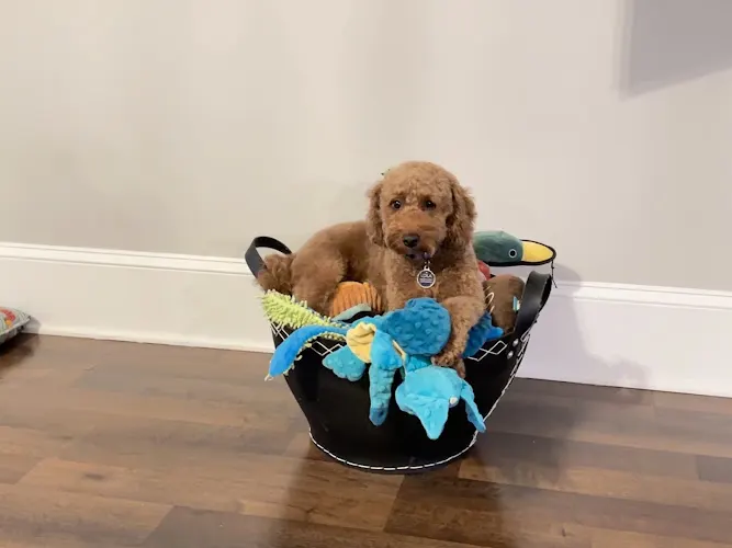Mobile Beauty Pawlor - Image 1