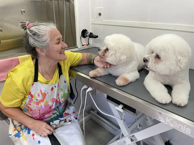 Ale’s Grooming - Image 1