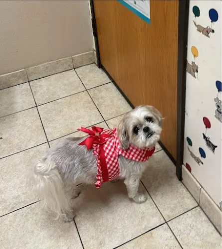 Love Freeway Animal Clinic in Dallas, TX