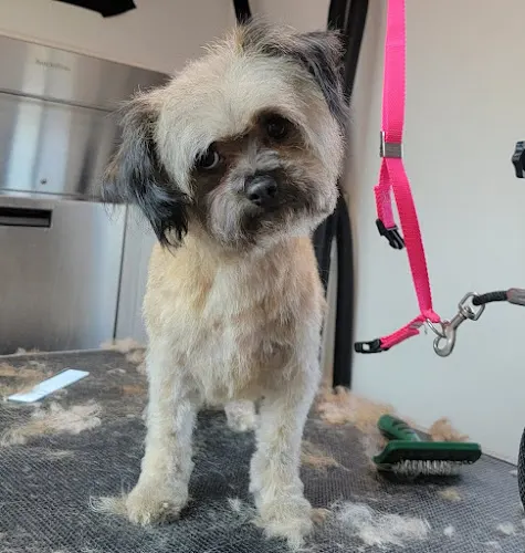 Mikara Mobile Grooming - Image 1