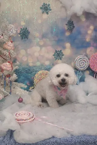 Happy Tails Grooming - Image 1