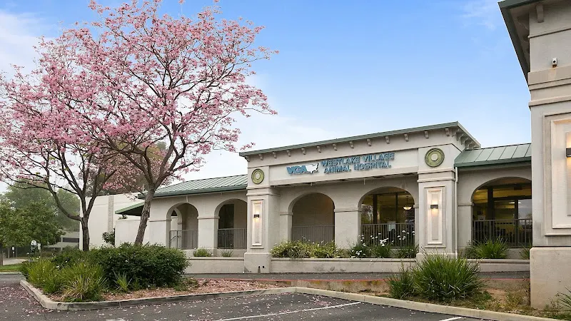 VCA Westlake Village Animal Hospital - Image 1