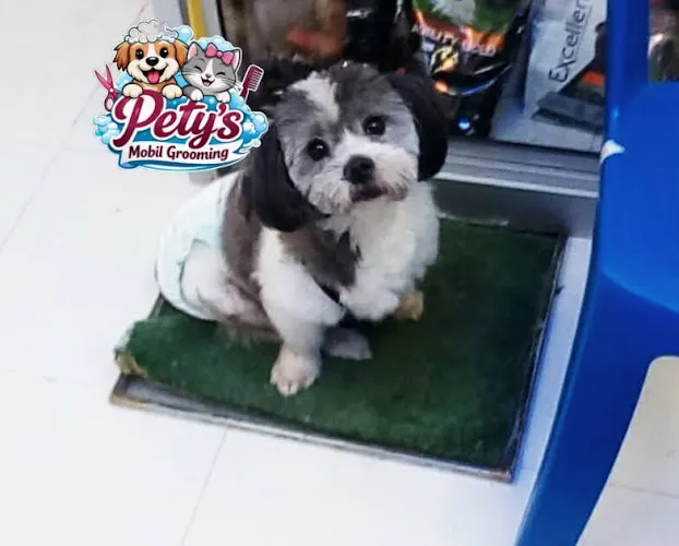 Petys Mobil Grooming - Image 1