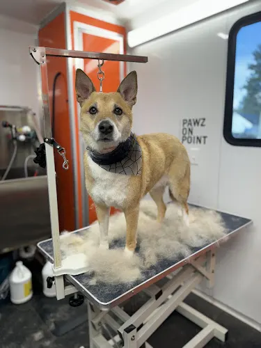 Pawz On Point Mobile Dog Grooming - Image 1