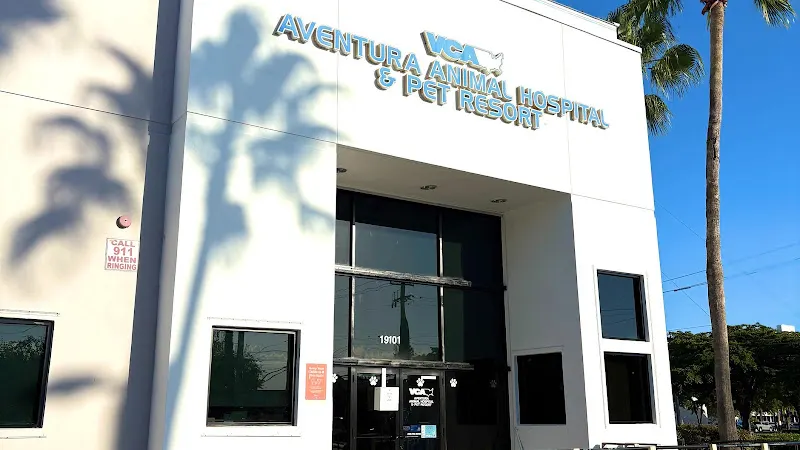 VCA Aventura Animal Hospital & Pet Resort - Image 1