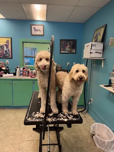 The Canine Cuttery in Palmer, MA