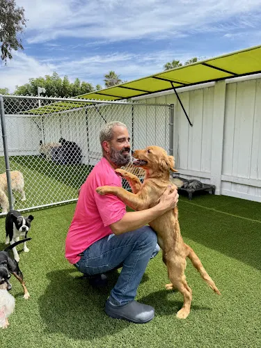 Paw Commons Pet Resort & Training Center - Hillcrest - Image 1