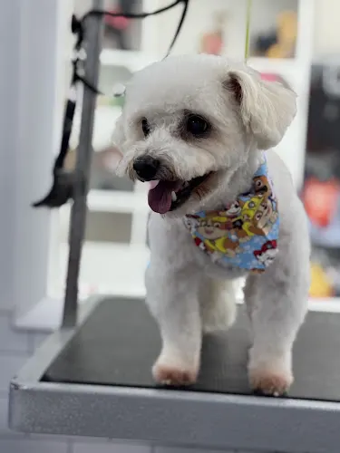 Puppylicious Pet Mobile Grooming & Bakery - Image 1