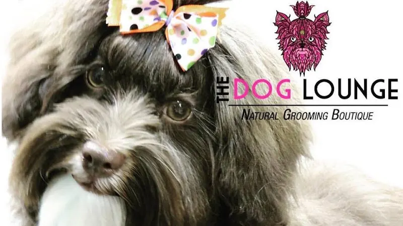 The Dog Lounge Natural Mobile Grooming Spaw - Image 1