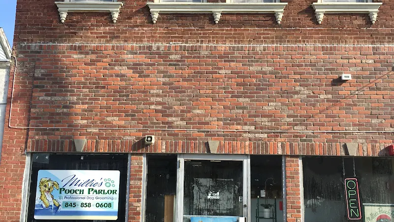 Millie's Pooch Pawlor in Port Jervis, NY