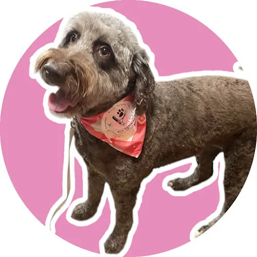 Dog Grooming by Jamie Oxford - Image 1