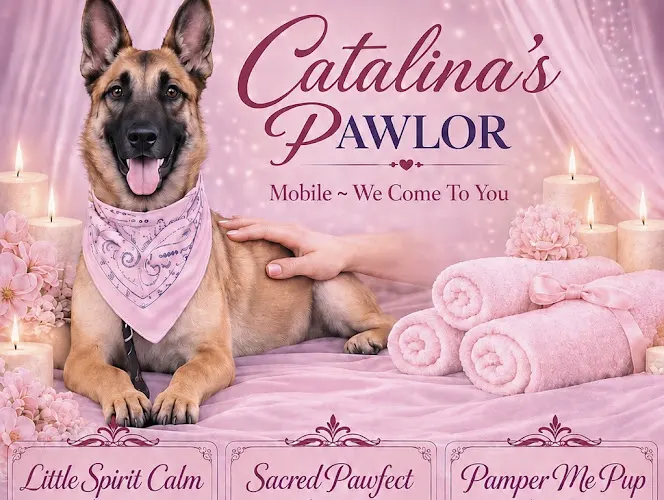 💕Catalina’s Pawlor💕 - Image 1