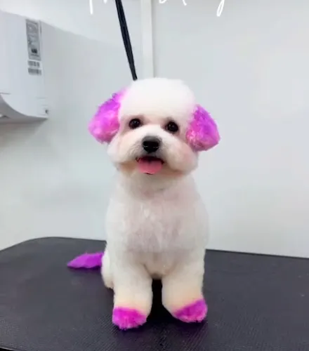 Ohana Wagging Tails - Image 1