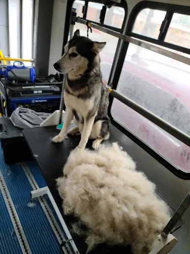 Pawbershop Mobile Dog Grooming - Image 1