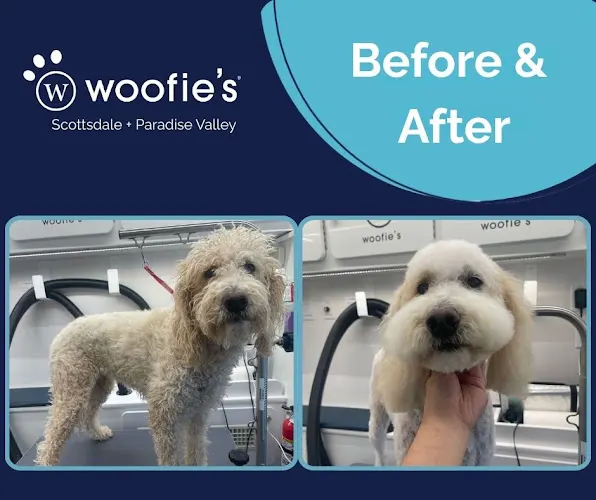 Woofie’s® of Scottsdale & Paradise Valley - Image 1