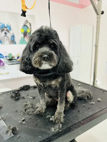 PinkPaw Pet Salon - Image 1