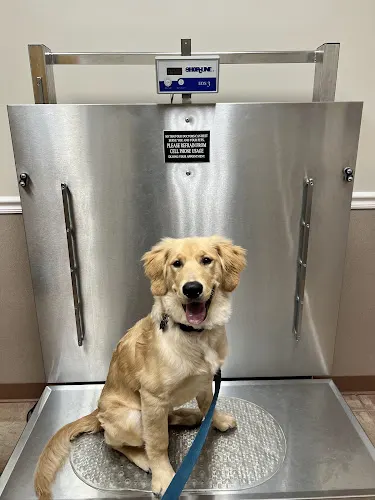 Allatoona Animal Hospital - Image 1