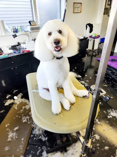 High Country Grooming - Image 1