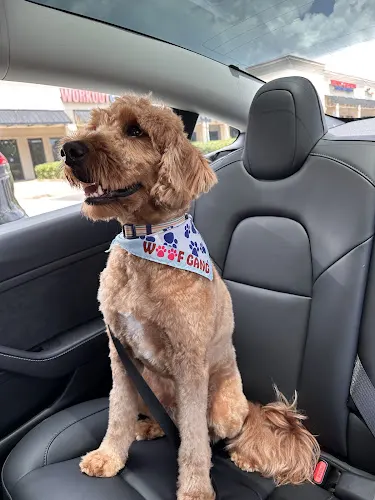 Woof Gang Bakery & Grooming Shallowford - Image 1