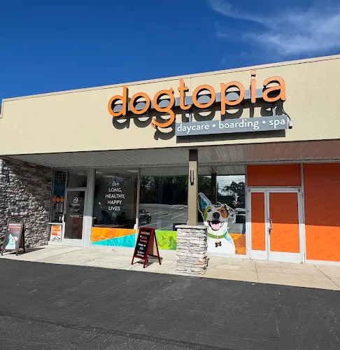 Dogtopia of Moon Township - Image 1