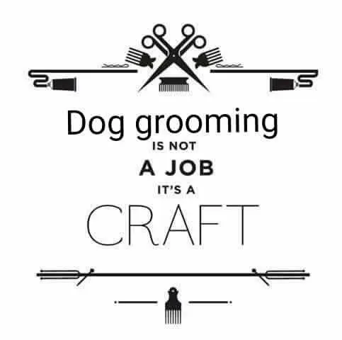 "The Pin Brush" Curbside Pet Styling - Image 1