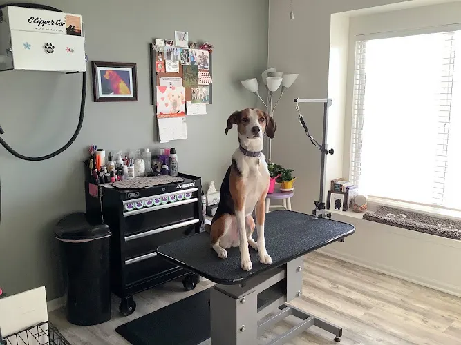 Pampered Pooch S'paw LLC - Image 1
