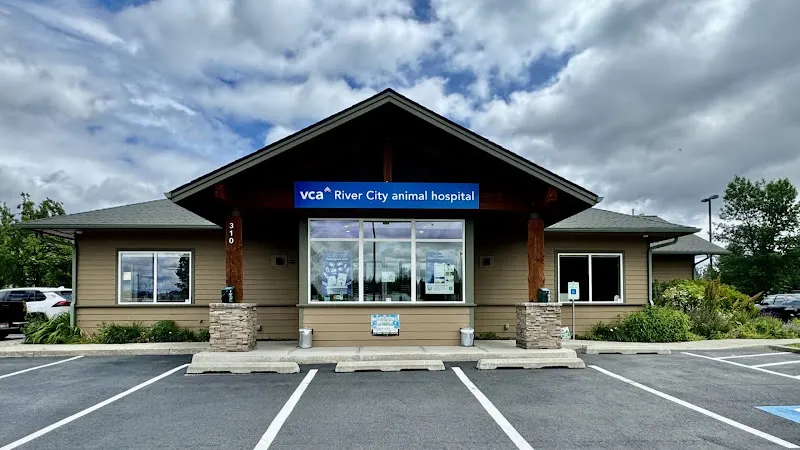 VCA River City Animal Hospital - Image 1