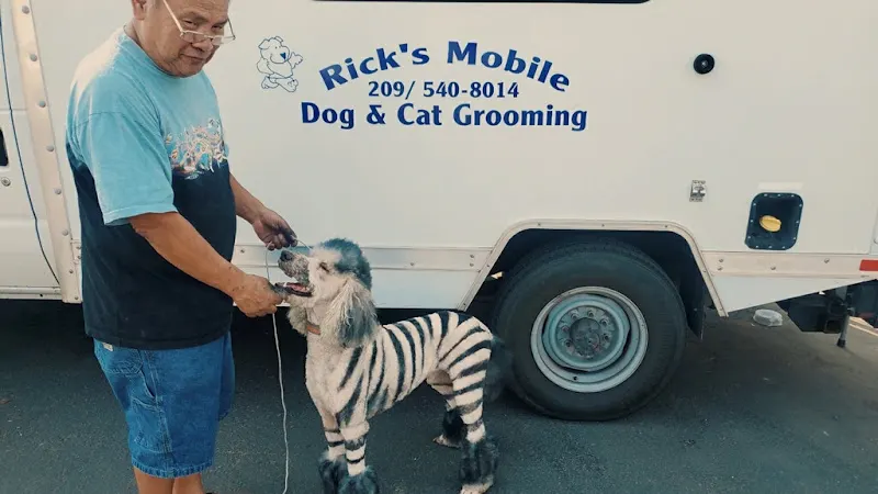 Rick's Mobile Dog and Cat Grooming - Image 1