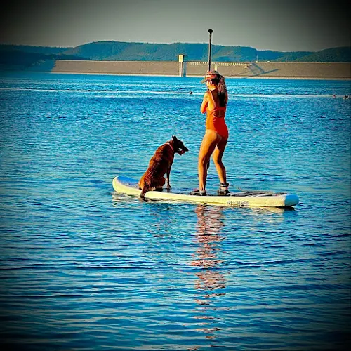 Lakeside Dog Grooming and Rentals - Image 1