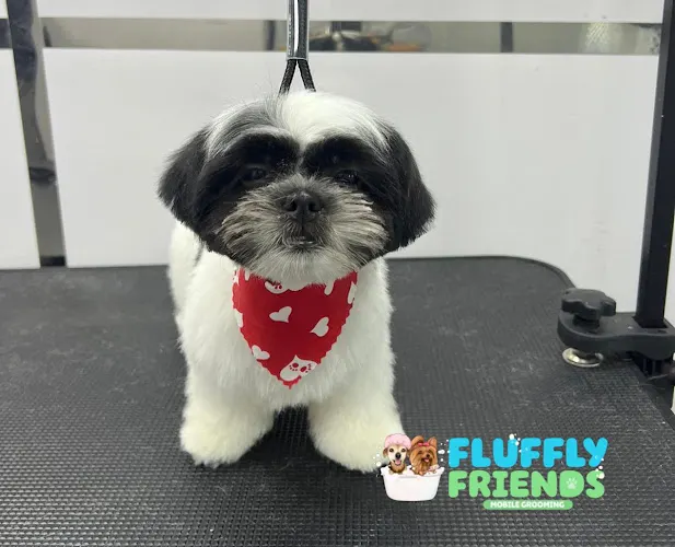 Fluffy Friends Mobile Grooming - Image 1
