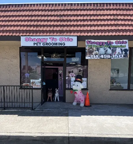 Shaggy To Chic All Breed Pet Grooming - Image 1