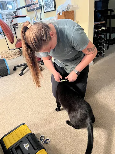 Auds & Ends Pet Services, LLC - Image 1