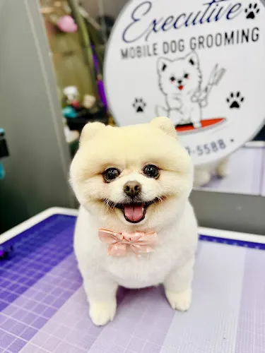 Executive Mobile Dog Grooming - Image 1