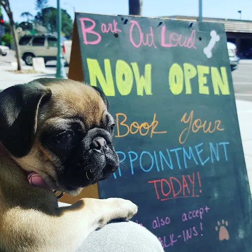 Bark Out Loud - Image 1