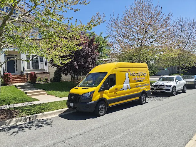 Dog Mobile Grooming - Image 1