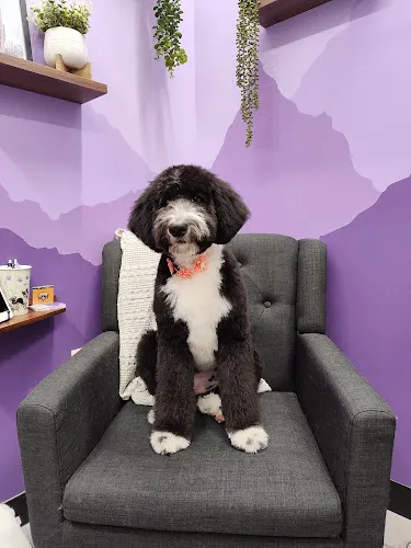 Dynamite Doggies Pet Salon - Image 1