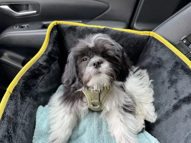 Stephanie's Pet Grooming - Image 1