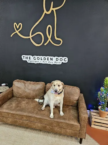 The Golden Dog Pawtique & Dog Wash - Image 1